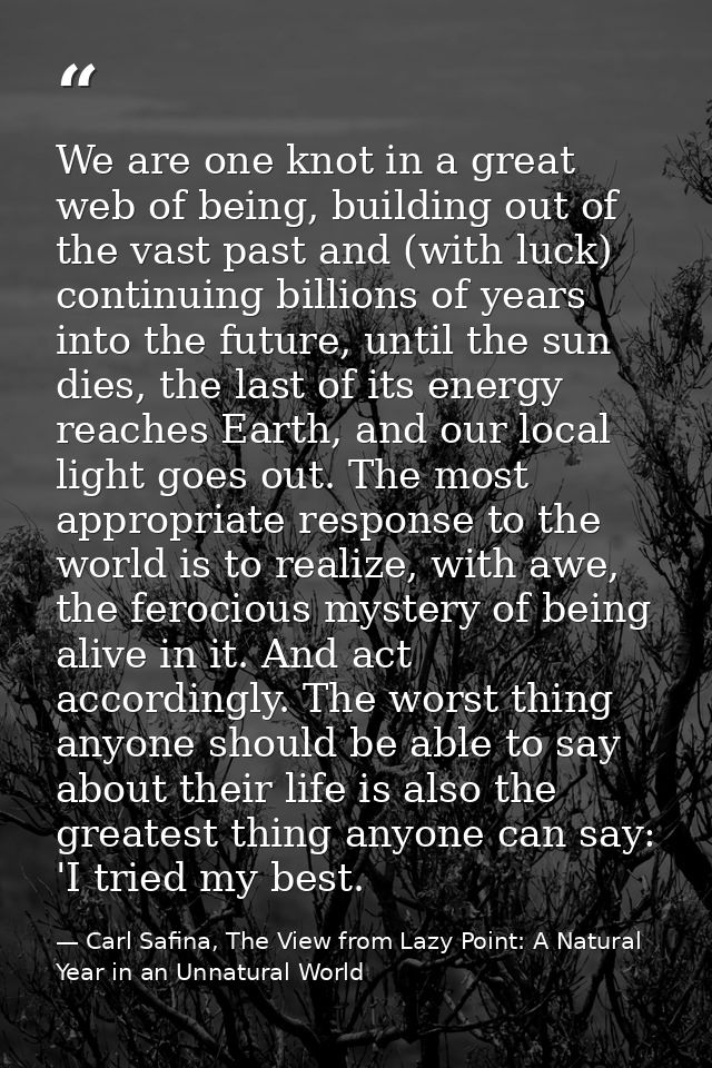 We are one knot in a great web of being, building out of the vast past and (with luck) continuing billions of years into — Carl Safina, The View from Lazy Point: A Natural Year in an Unnatural World