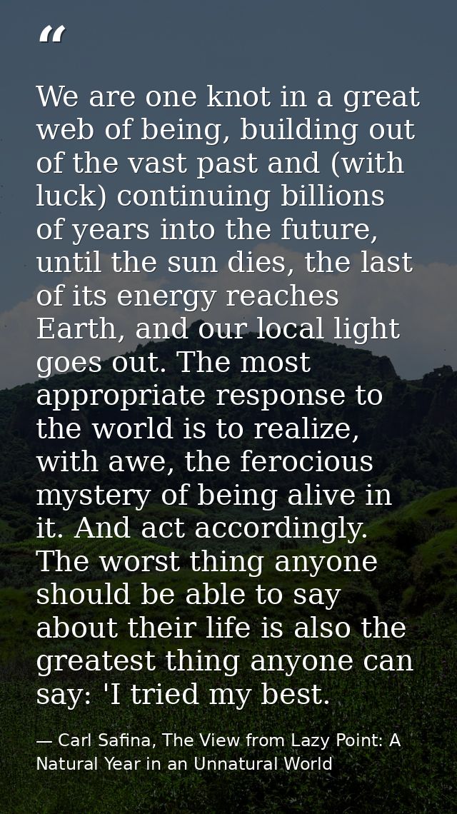 We are one knot in a great web of being, building out of the vast past and (with luck) continuing billions of years into — Carl Safina, The View from Lazy Point: A Natural Year in an Unnatural World