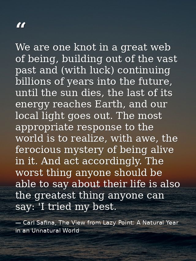 We are one knot in a great web of being, building out of the vast past and (with luck) continuing billions of years into — Carl Safina, The View from Lazy Point: A Natural Year in an Unnatural World