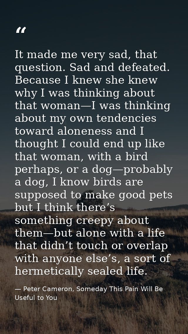 It made me very sad, that question. Sad and defeated. Because I knew she knew why I was thinking about that woman—I was  — Peter Cameron, Someday This Pain Will Be Useful to You