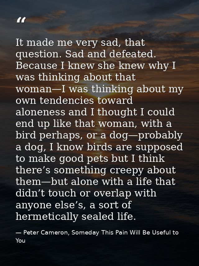It made me very sad, that question. Sad and defeated. Because I knew she knew why I was thinking about that woman—I was  — Peter Cameron, Someday This Pain Will Be Useful to You