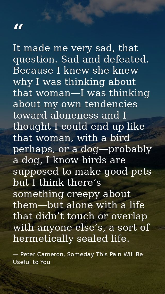 It made me very sad, that question. Sad and defeated. Because I knew she knew why I was thinking about that woman—I was  — Peter Cameron, Someday This Pain Will Be Useful to You