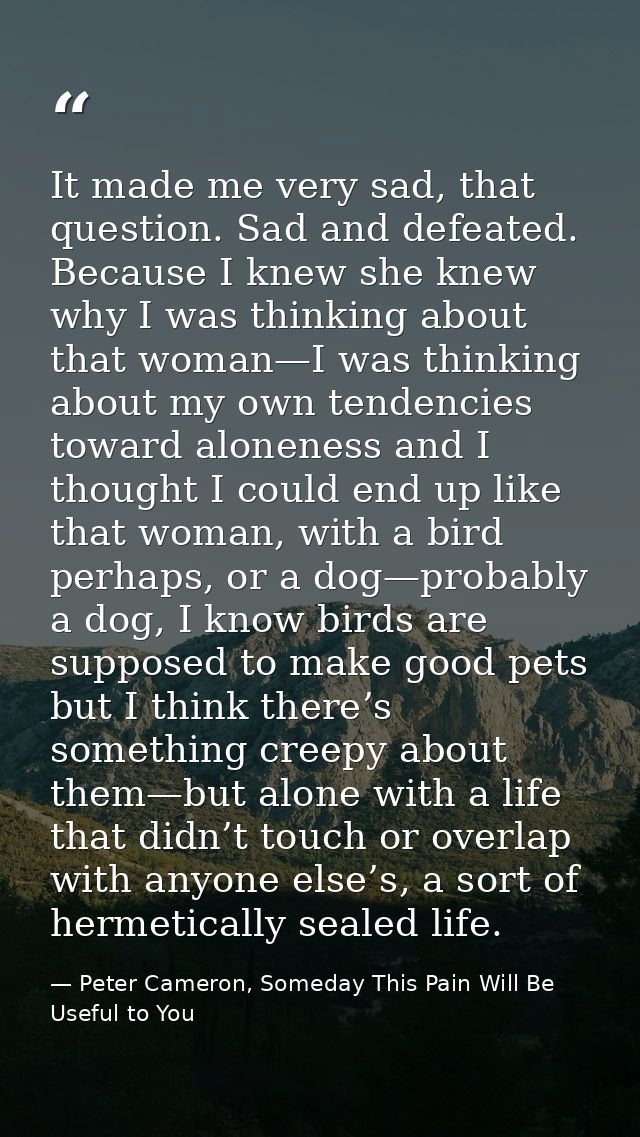 It made me very sad, that question. Sad and defeated. Because I knew she knew why I was thinking about that woman—I was  — Peter Cameron, Someday This Pain Will Be Useful to You