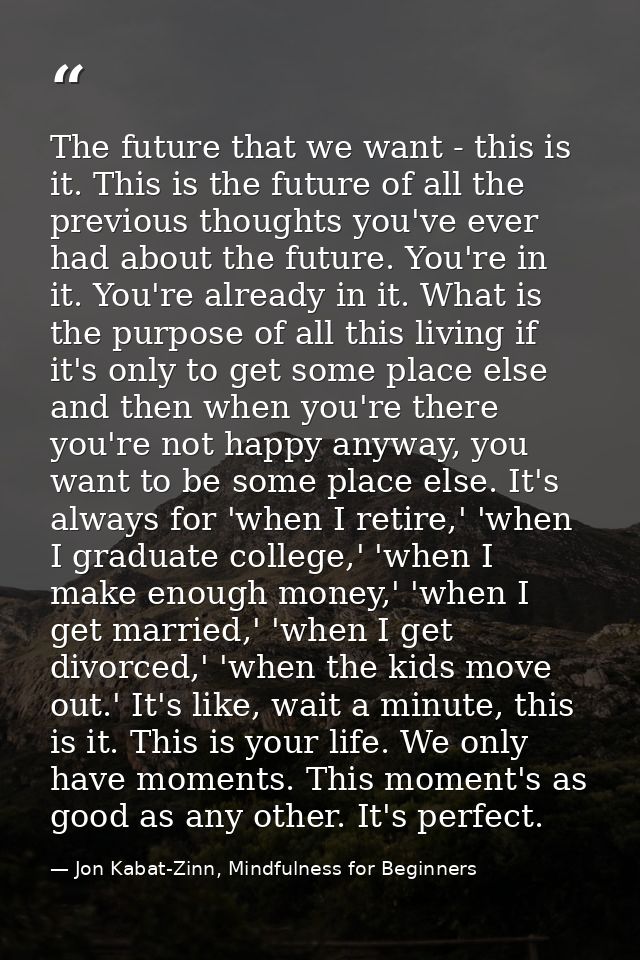 The future that we want - this is it. This is the future of all the previous thoughts you've ever had about the future.  — Jon Kabat-Zinn, Mindfulness for Beginners