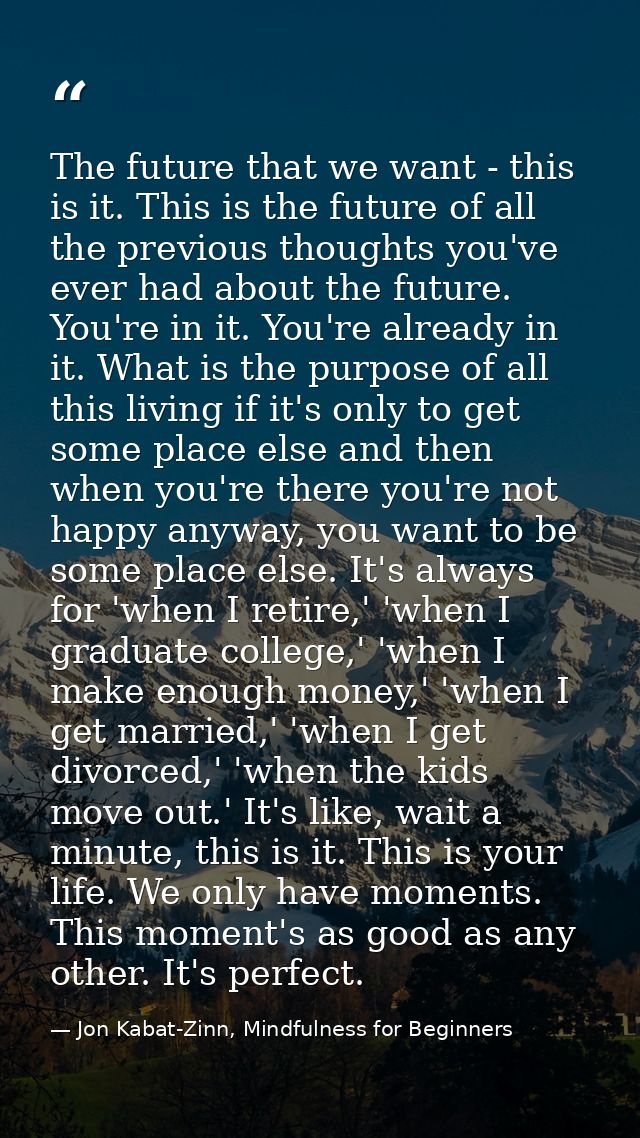 The future that we want - this is it. This is the future of all the previous thoughts you've ever had about the future.  — Jon Kabat-Zinn, Mindfulness for Beginners