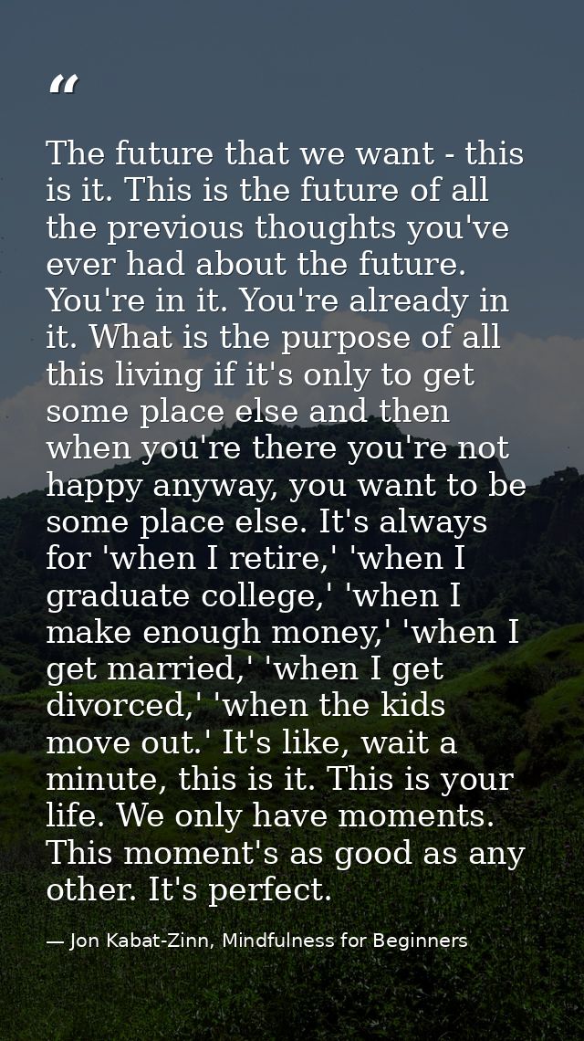 The future that we want - this is it. This is the future of all the previous thoughts you've ever had about the future.  — Jon Kabat-Zinn, Mindfulness for Beginners