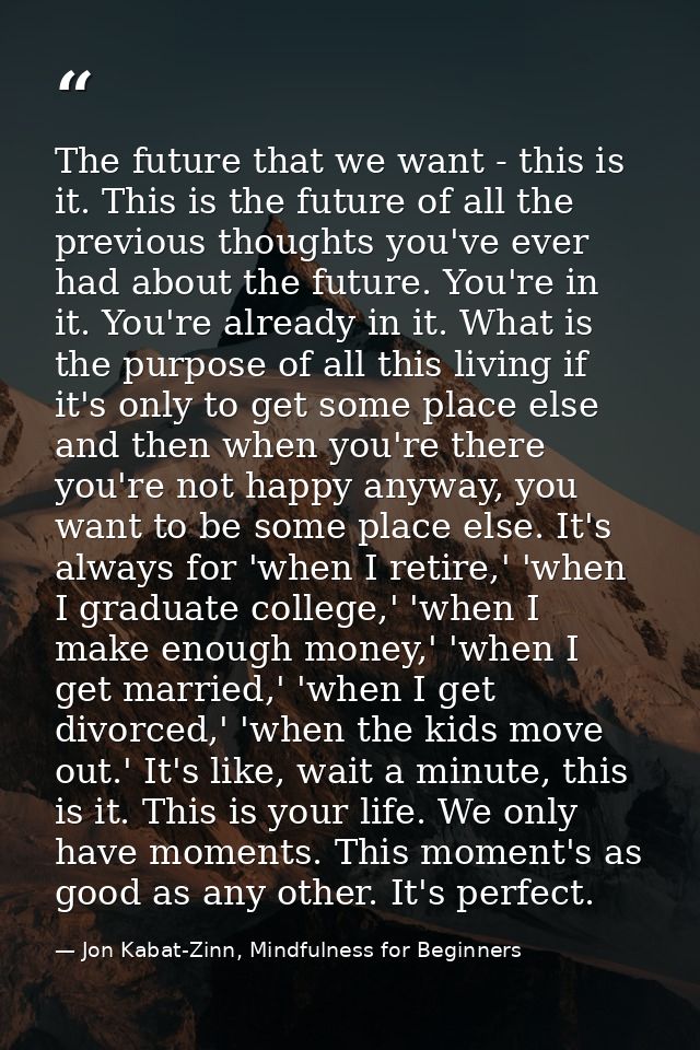 The future that we want - this is it. This is the future of all the previous thoughts you've ever had about the future.  — Jon Kabat-Zinn, Mindfulness for Beginners