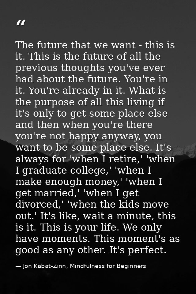 The future that we want - this is it. This is the future of all the previous thoughts you've ever had about the future.  — Jon Kabat-Zinn, Mindfulness for Beginners