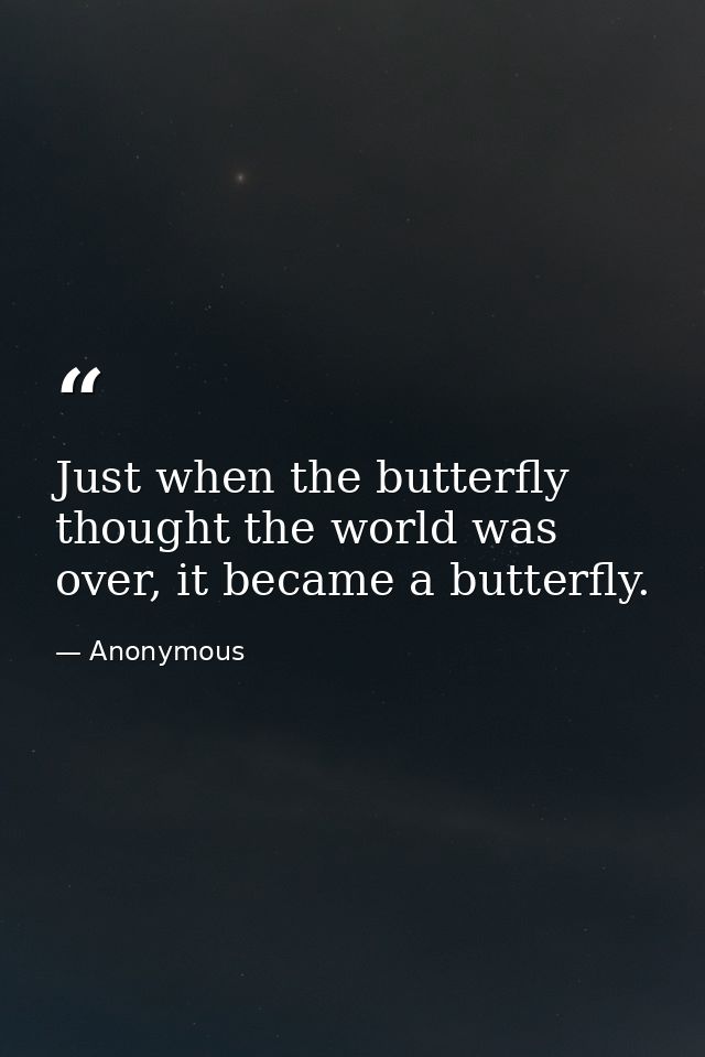 Just when the butterfly thought the world was over, it became a butterfly. — Anonymous