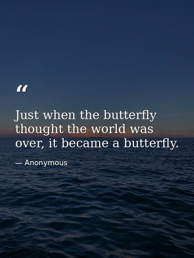 Just when the butterfly thought the world was over, it became a butterfly. — Anonymous