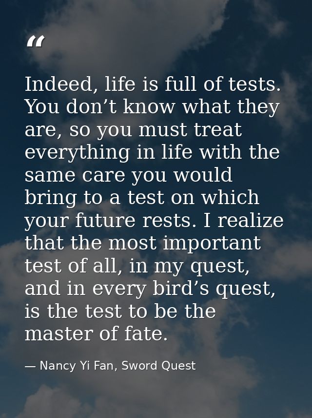 Indeed, life is full of tests. You don’t know what they are, so you must treat everything in life with the same care you — Nancy Yi Fan, Sword Quest