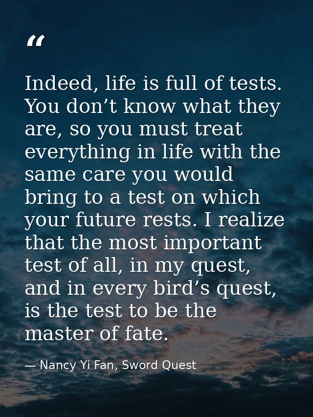 Indeed, life is full of tests. You don’t know what they are, so you must treat everything in life with the same care you — Nancy Yi Fan, Sword Quest