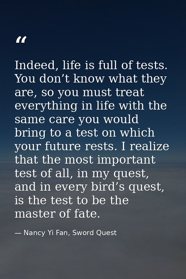 Indeed, life is full of tests. You don’t know what they are, so you must treat everything in life with the same care you — Nancy Yi Fan, Sword Quest