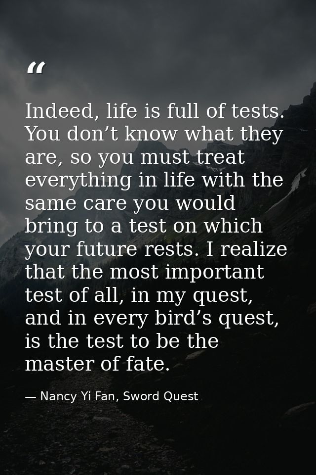 Indeed, life is full of tests. You don’t know what they are, so you must treat everything in life with the same care you — Nancy Yi Fan, Sword Quest