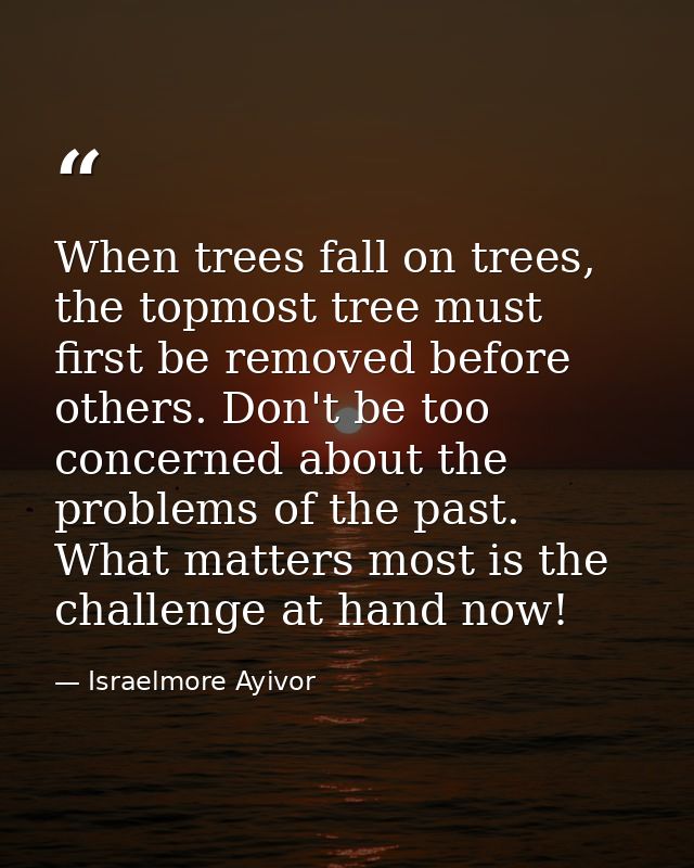 When trees fall on trees, the topmost tree must first be removed before others. Don't be too concerned about the problem — Israelmore Ayivor