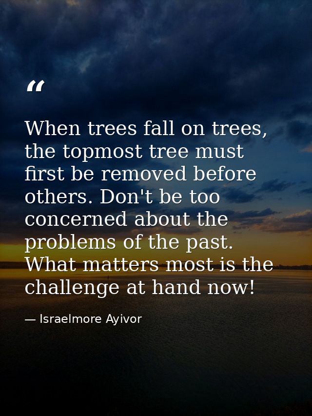When trees fall on trees, the topmost tree must first be removed before others. Don't be too concerned about the problem — Israelmore Ayivor