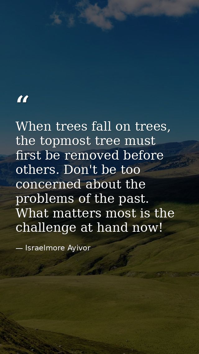 When trees fall on trees, the topmost tree must first be removed before others. Don't be too concerned about the problem — Israelmore Ayivor