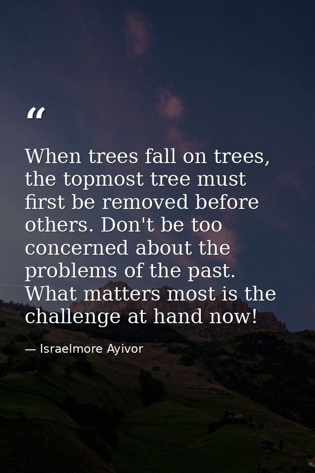When trees fall on trees, the topmost tree must first be removed before others. Don't be too concerned about the problem — Israelmore Ayivor