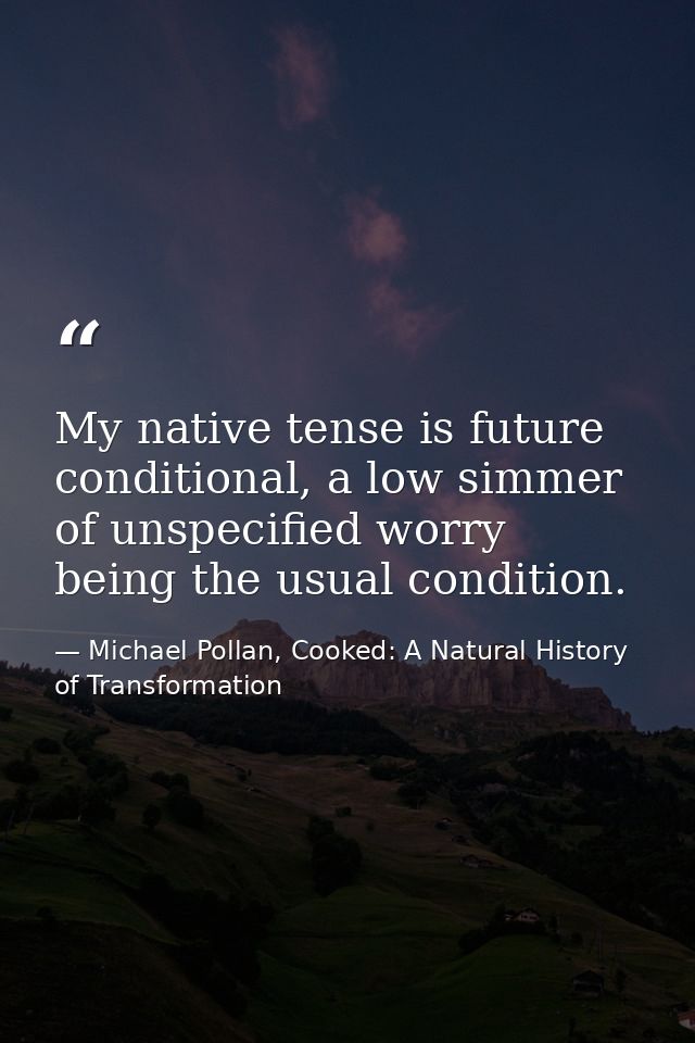 My native tense is future conditional, a low simmer of unspecified worry being the usual condition. — Michael Pollan, Cooked: A Natural History of Transformation