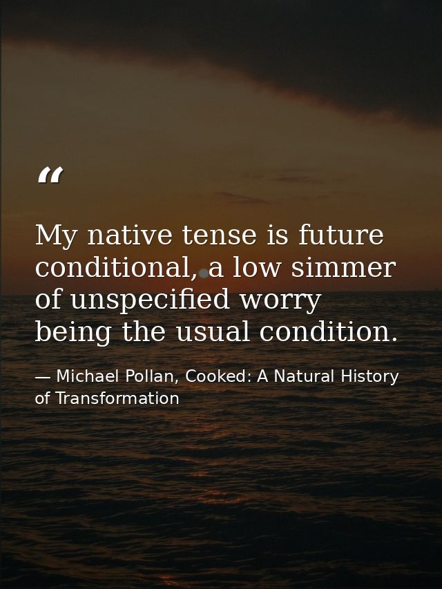 My native tense is future conditional, a low simmer of unspecified worry being the usual condition. — Michael Pollan, Cooked: A Natural History of Transformation