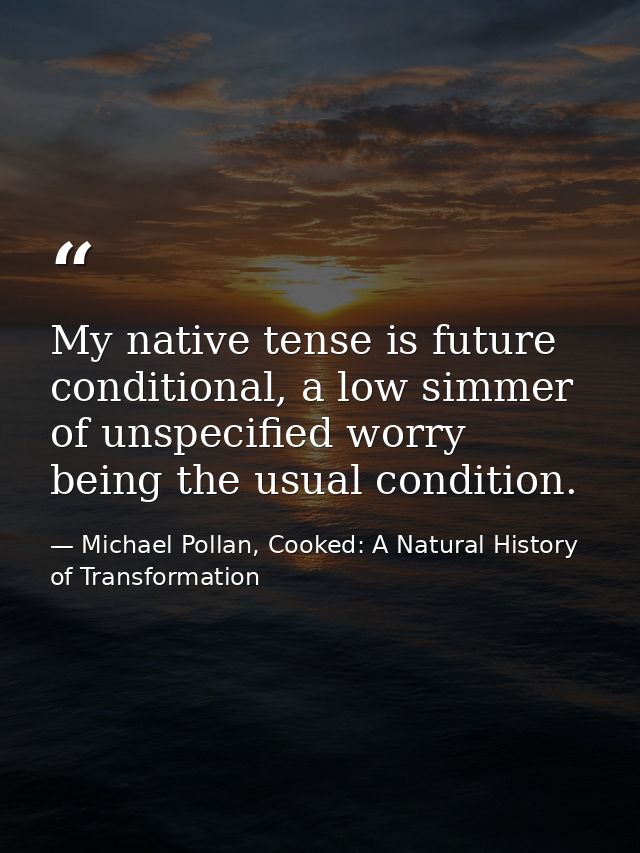 My native tense is future conditional, a low simmer of unspecified worry being the usual condition. — Michael Pollan, Cooked: A Natural History of Transformation