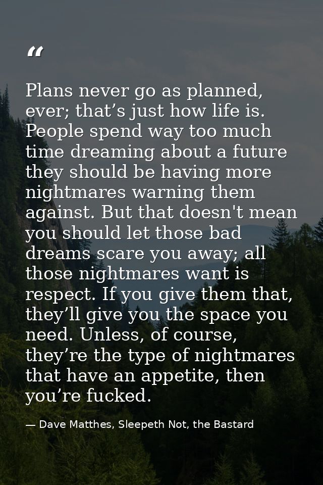 Plans never go as planned, ever; that’s just how life is. People spend way too much time dreaming about a future they sh — Dave Matthes, Sleepeth Not, the Bastard