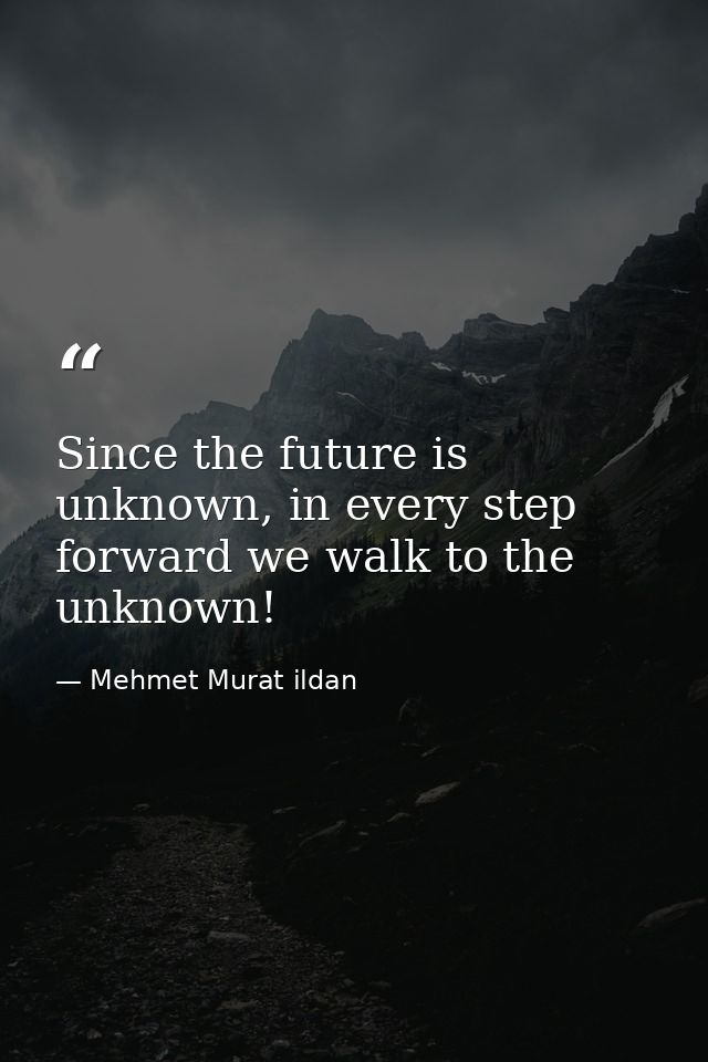 Since the future is unknown, in every step forward we walk to the unknown! — Mehmet Murat ildan