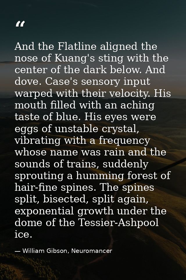 And the Flatline aligned the nose of Kuang's sting with the center of the dark below. And dove. Case's sensory input war — William Gibson, Neuromancer