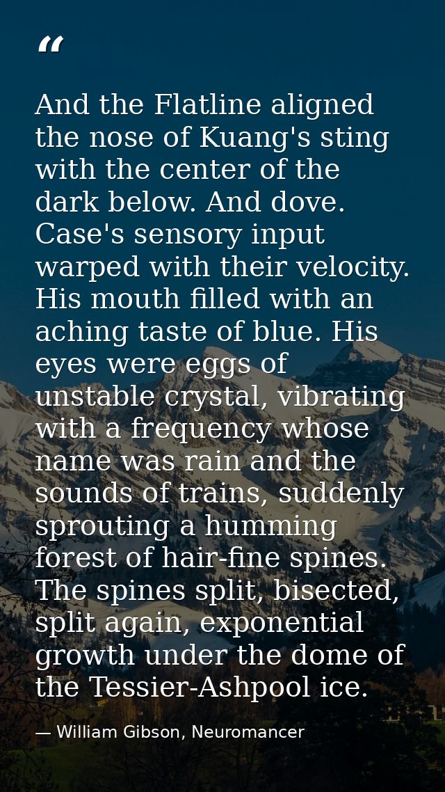 And the Flatline aligned the nose of Kuang's sting with the center of the dark below. And dove. Case's sensory input war — William Gibson, Neuromancer