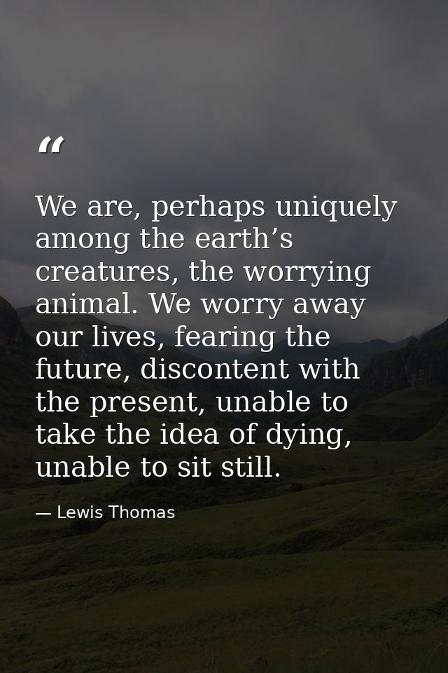 We are, perhaps uniquely among the earth’s creatures, the worrying animal. We worry away our lives, fearing the future,  — Lewis Thomas