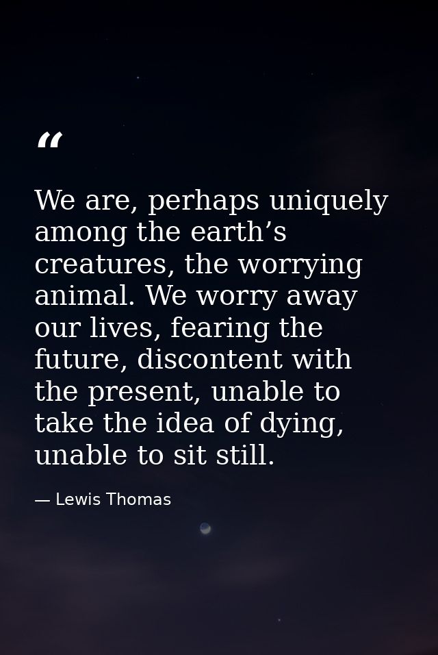 We are, perhaps uniquely among the earth’s creatures, the worrying animal. We worry away our lives, fearing the future,  — Lewis Thomas
