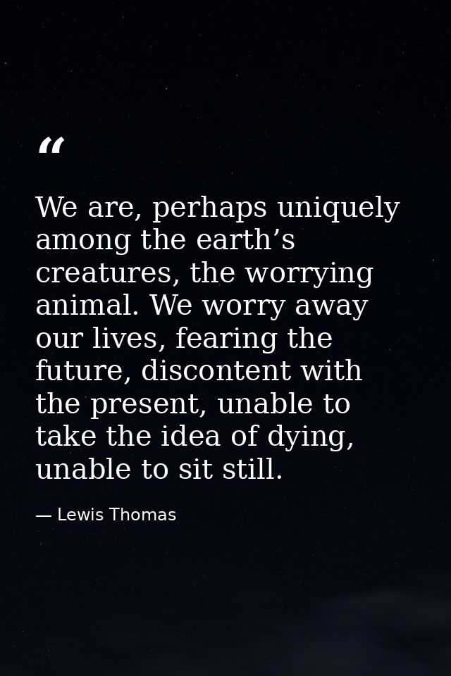 We are, perhaps uniquely among the earth’s creatures, the worrying animal. We worry away our lives, fearing the future,  — Lewis Thomas