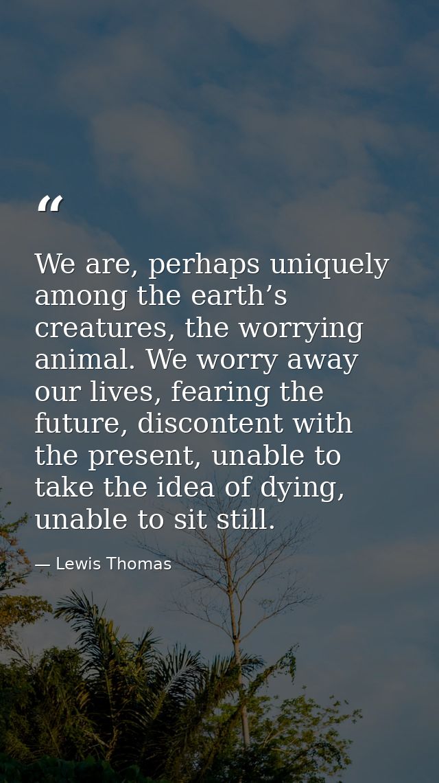 We are, perhaps uniquely among the earth’s creatures, the worrying animal. We worry away our lives, fearing the future,  — Lewis Thomas