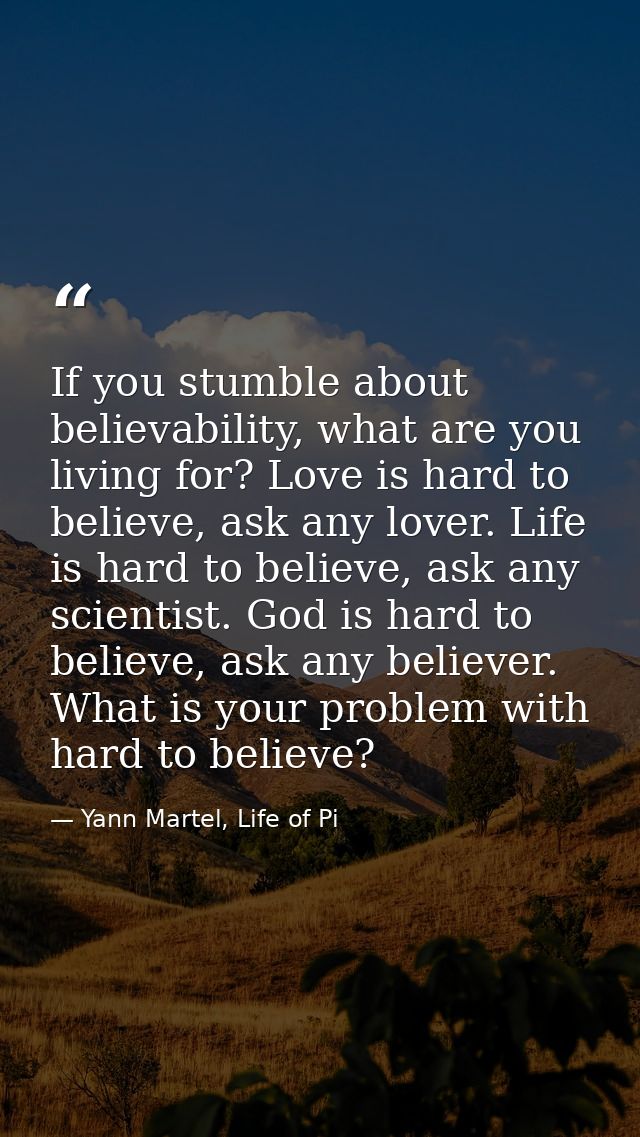 If you stumble about believability, what are you living for? Love is hard to believe, ask any lover. Life is hard to bel — Yann Martel, Life of Pi