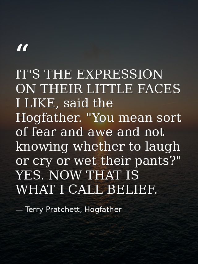 IT'S THE EXPRESSION ON THEIR LITTLE FACES I LIKE, said the Hogfather. "You mean sort of fear and awe and not knowing whe — Terry Pratchett, Hogfather