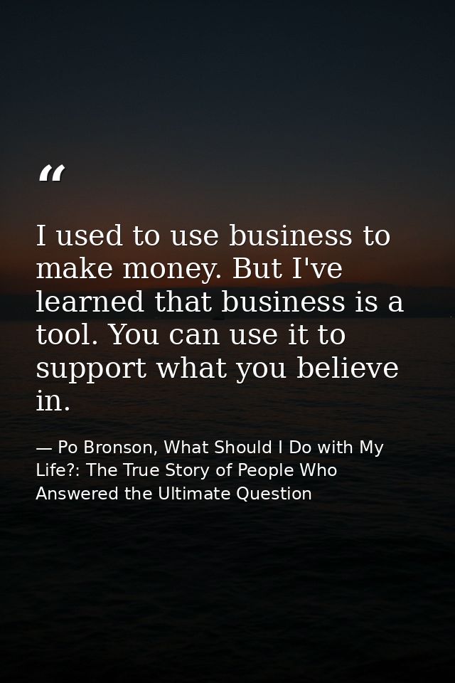 I used to use business to make money. But I've learned that business is a tool. You can use it to support what you belie — Po Bronson, What Should I Do with My Life?: The True Story of People Who Answered the Ultimate Question
