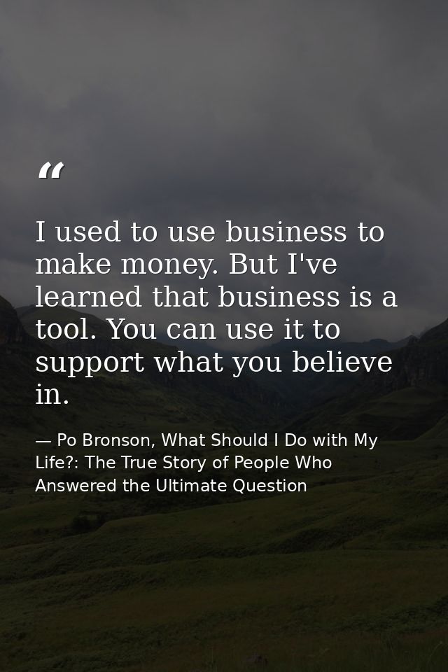 I used to use business to make money. But I've learned that business is a tool. You can use it to support what you belie — Po Bronson, What Should I Do with My Life?: The True Story of People Who Answered the Ultimate Question
