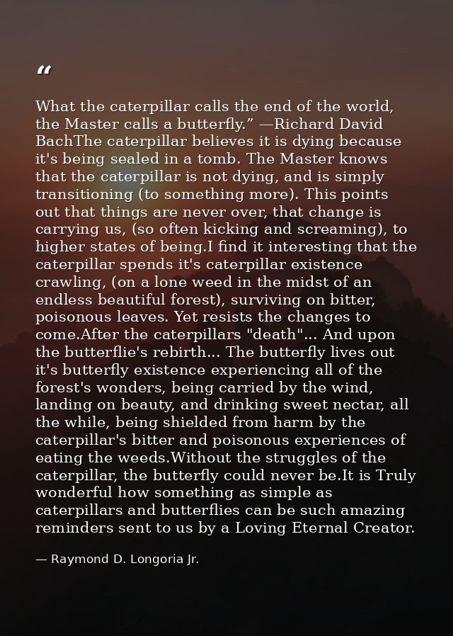 What the caterpillar calls the end of the world, the Master calls a butterfly.” —Richard David BachThe caterpillar belie — Raymond D. Longoria Jr.