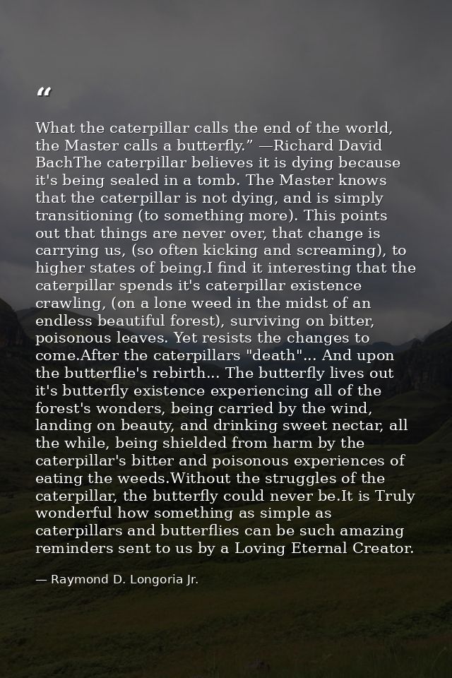 What the caterpillar calls the end of the world, the Master calls a butterfly.” —Richard David BachThe caterpillar belie — Raymond D. Longoria Jr.
