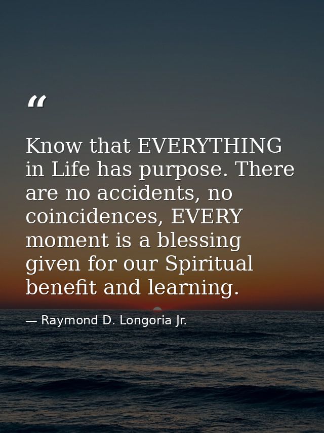 Know that EVERYTHING in Life has purpose. There are no accidents, no coincidences, EVERY moment is a blessing given for  — Raymond D. Longoria Jr.
