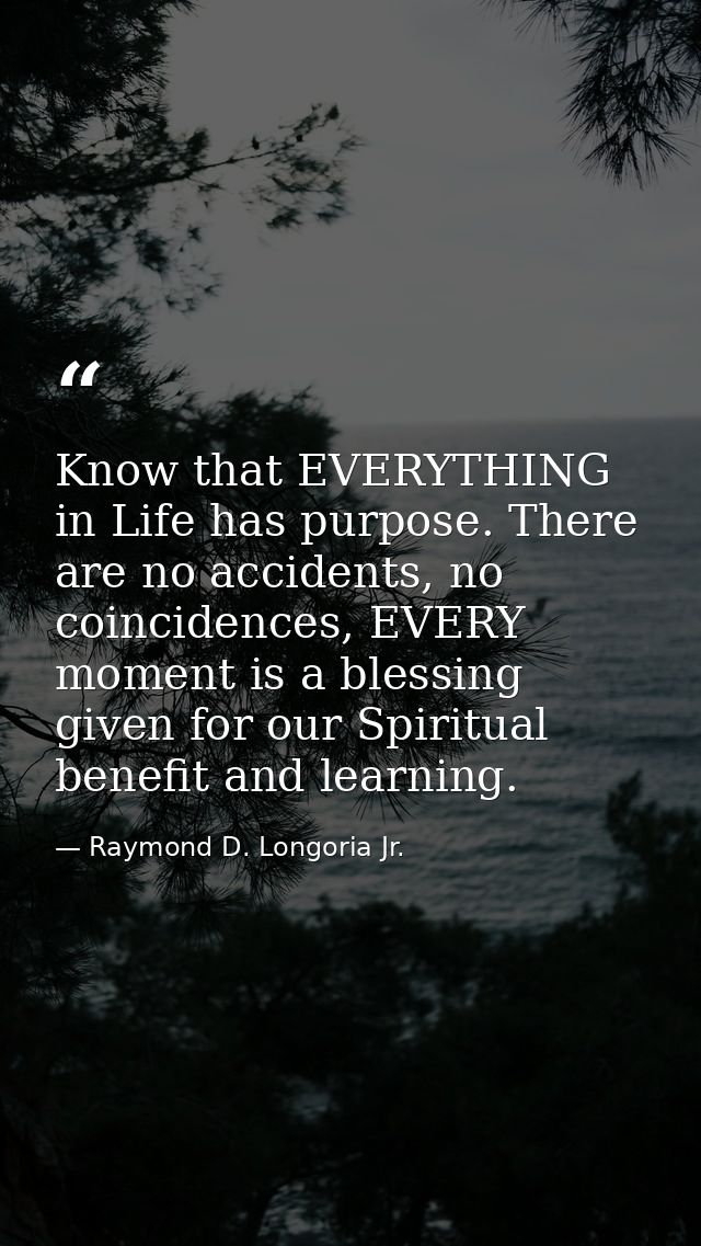 Know that EVERYTHING in Life has purpose. There are no accidents, no coincidences, EVERY moment is a blessing given for  — Raymond D. Longoria Jr.