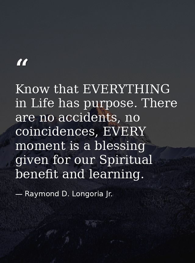 Know that EVERYTHING in Life has purpose. There are no accidents, no coincidences, EVERY moment is a blessing given for  — Raymond D. Longoria Jr.