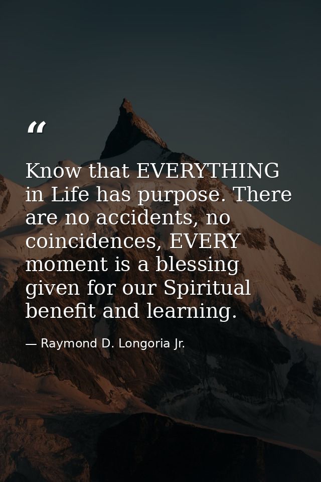 Know that EVERYTHING in Life has purpose. There are no accidents, no coincidences, EVERY moment is a blessing given for  — Raymond D. Longoria Jr.