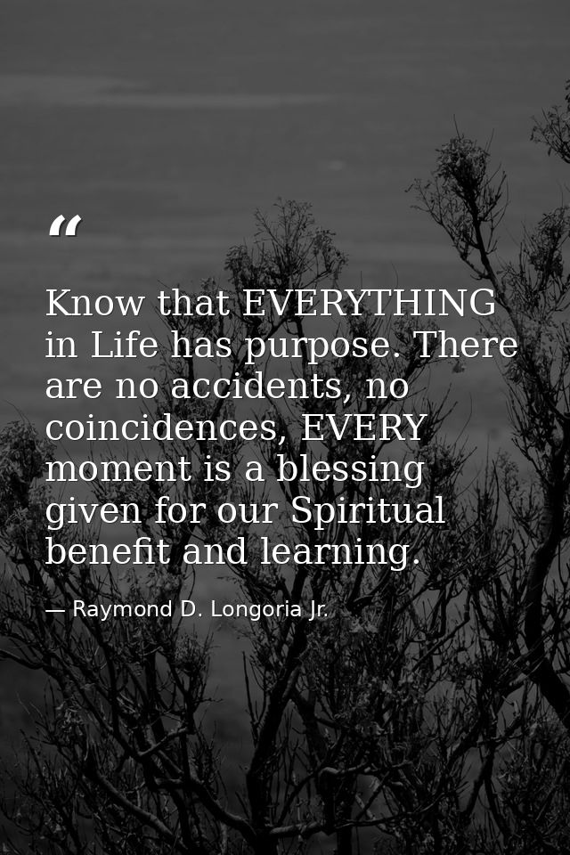 Know that EVERYTHING in Life has purpose. There are no accidents, no coincidences, EVERY moment is a blessing given for  — Raymond D. Longoria Jr.