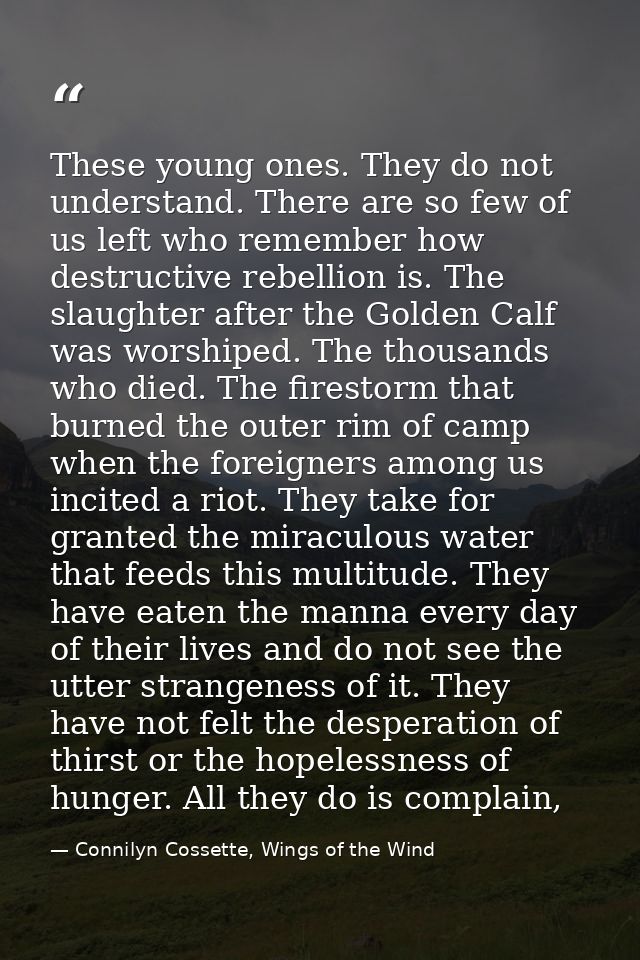 These young ones. They do not understand. There are so few of us left who remember how destructive rebellion is. The sla — Connilyn Cossette, Wings of the Wind