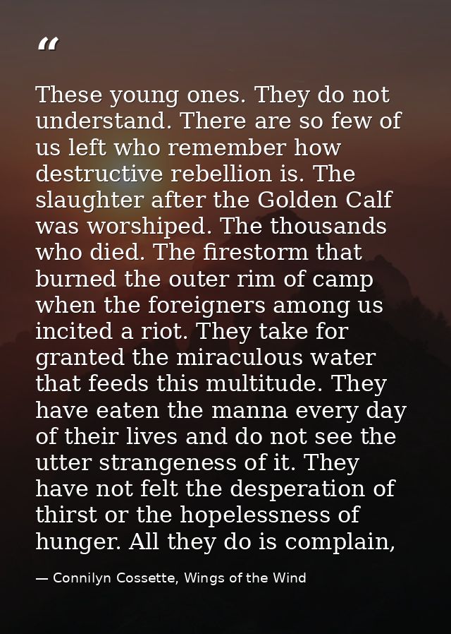 These young ones. They do not understand. There are so few of us left who remember how destructive rebellion is. The sla — Connilyn Cossette, Wings of the Wind