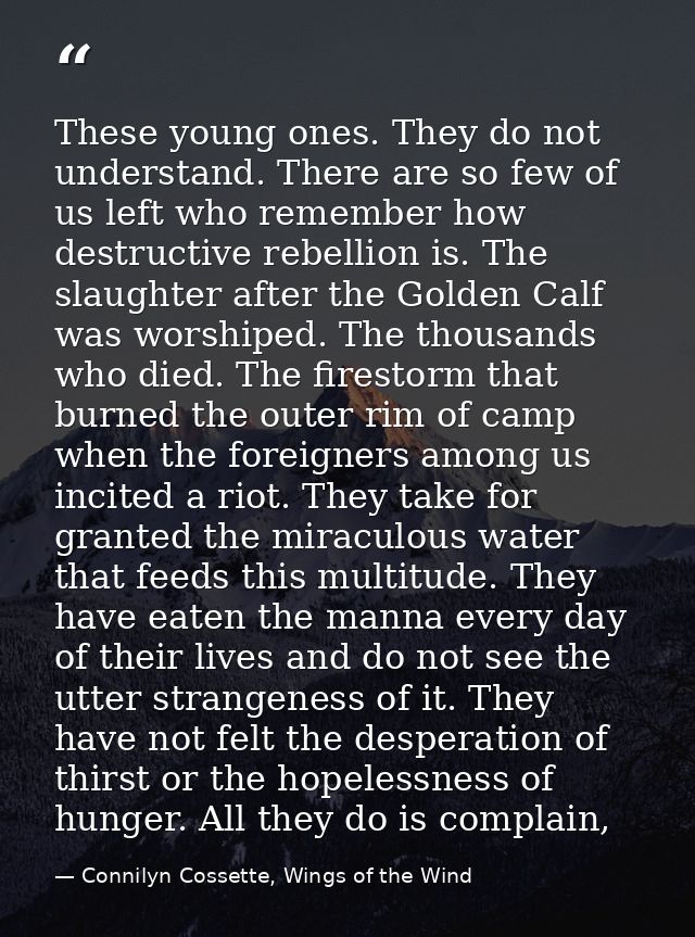 These young ones. They do not understand. There are so few of us left who remember how destructive rebellion is. The sla — Connilyn Cossette, Wings of the Wind