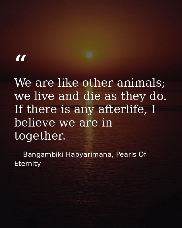 We are like other animals; we live and die as they do. If there is any afterlife, I believe we are in together. — Bangambiki Habyarimana, Pearls Of Eternity