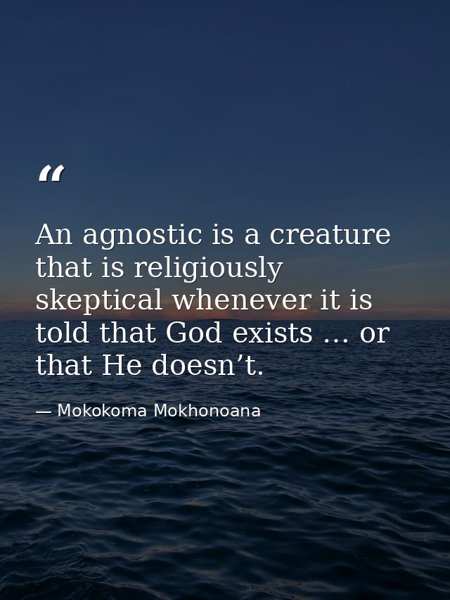 An agnostic is a creature that is religiously skeptical whenever it is told that God exists … or that He doesn’t. — Mokokoma Mokhonoana