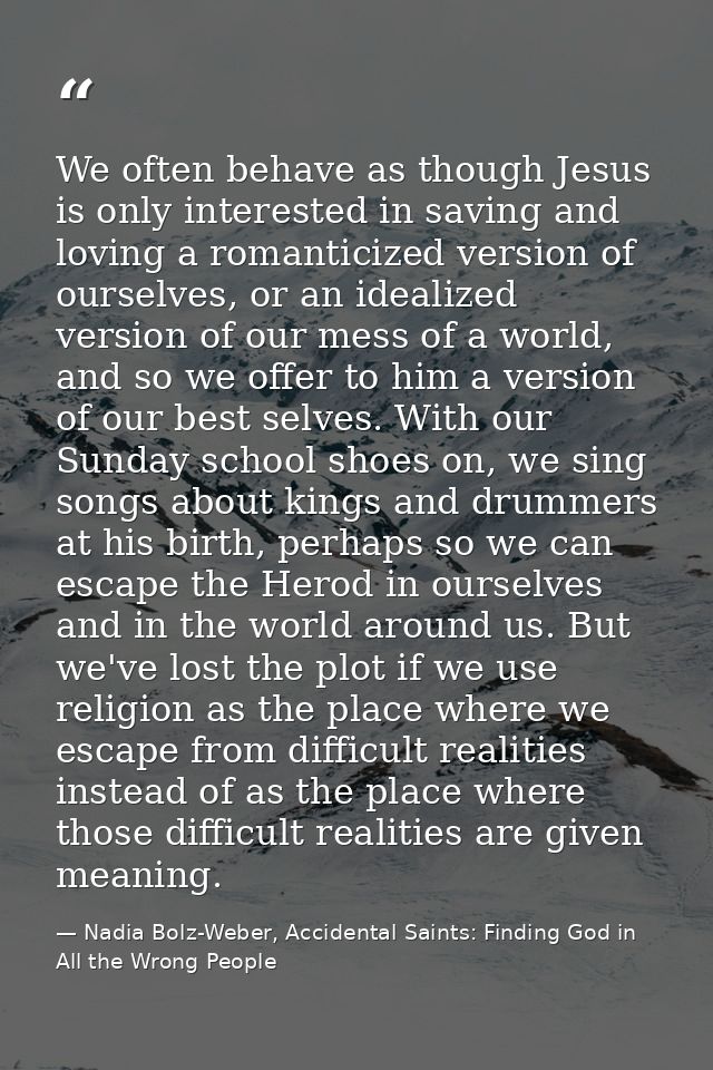 We often behave as though Jesus is only interested in saving and loving a romanticized version of ourselves, or an ideal — Nadia Bolz-Weber, Accidental Saints: Finding God in All the Wrong People